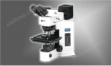BX51/BX51M奥林巴斯OLYMPUS BX51金相显微镜BX51M