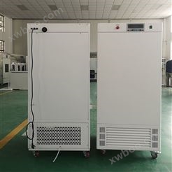 MJX-250霉菌培养箱（液晶屏幕控制器）