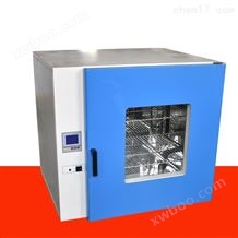 TGG-9035A电热恒温鼓风干燥箱,恒温干燥箱