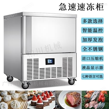 BC25广州急速冷冻柜商用饺子海鲜速冻柜速冻机