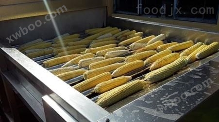 厂家定制速冻玉米加工设备玉米清洗机速冻机