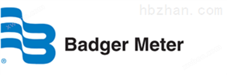 Badger Meter流量计