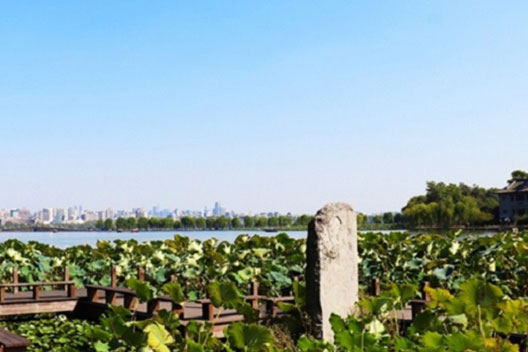长江生态环保联合体预中超23亿湖南沅江市中心城区水环境项目