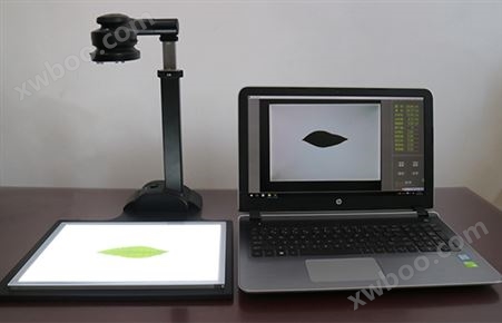 JC-LAM-DJC-LAM-D拍照式叶面积仪（电脑版）
