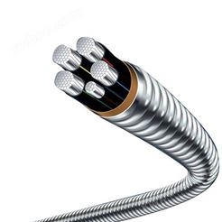 铝合金电缆2