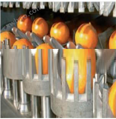 酒饮生产加工设备柑橘果酒生产线