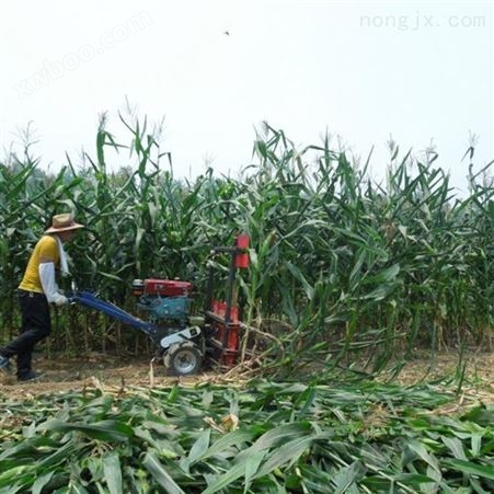 四轮玉米秸秆巨菌草收割机