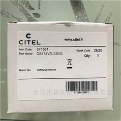 西岱尔CITELI数据网络I级电涌保护器