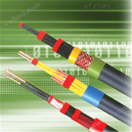 ZR-DJFFP2 2*2*1.0耐火计算机电缆