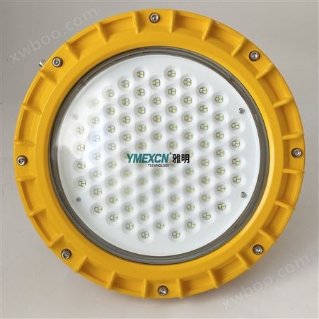 100W免维护LED防爆泛光灯