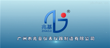 广州兆基2020年度YBZHAN品牌直播
